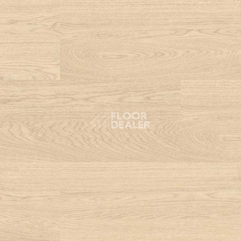 Wood OAK CREME фото 4 | FLOORDEALER