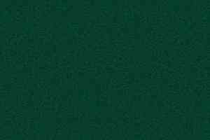 Ковролин Forbo Showtime Nuance 900228 фото  | FLOORDEALER