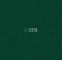 Ковролин Forbo Showtime Nuance 900228 фото 1 | FLOORDEALER
