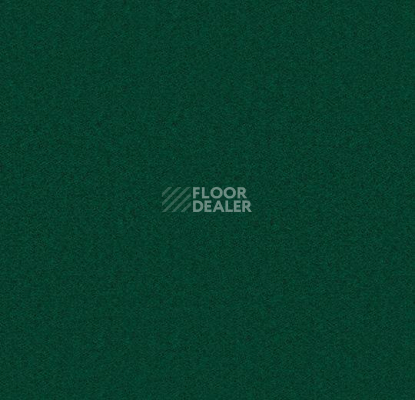 Ковролин Forbo Showtime Nuance 900228 фото 1 | FLOORDEALER