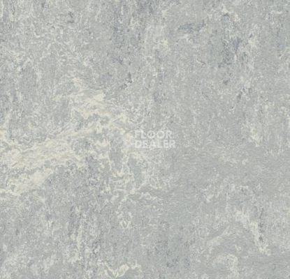 Линолеум Forbo Marmoleum Decibel 262135 dove grey фото 1 | FLOORDEALER