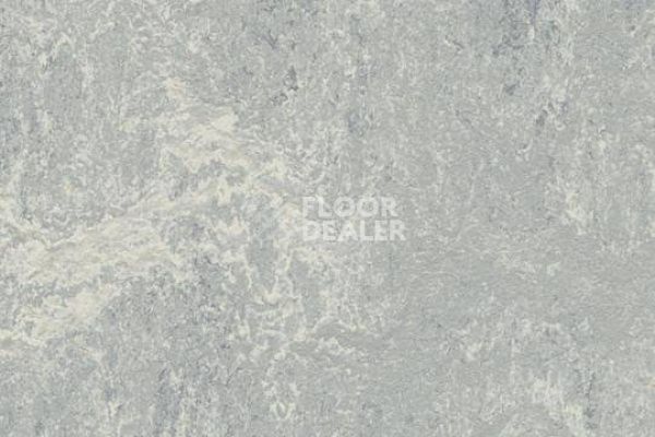 Линолеум Marmoleum Decibel 262135 фото 1 | FLOORDEALER