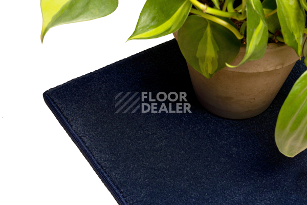 Ковролин Haima STONE (Стоун) 77 Night Blue фото 3 | FLOORDEALER