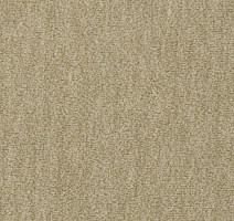 Ковролин Vorwerk Passion 1002 Vorwerk 8f94 фото 1 | FLOORDEALER