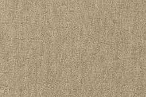 Ковролин Vorwerk Passion 1002 Vorwerk 8f94 фото  | FLOORDEALER