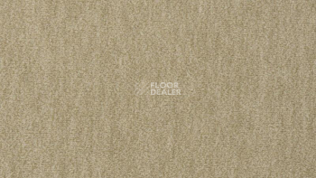 Ковролин Vorwerk Passion 1002 Vorwerk 8f94 фото 1 | FLOORDEALER