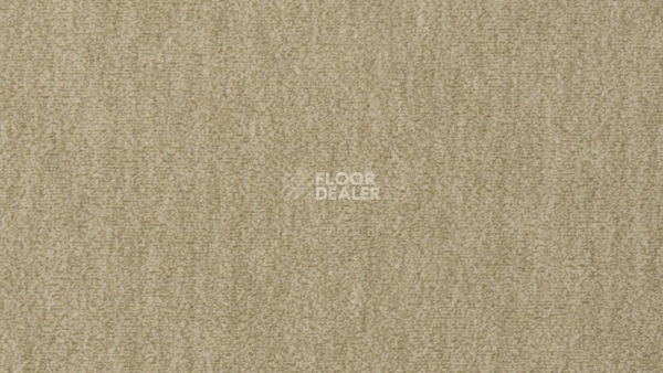 Ковролин Vorwerk Passion 1002 Vorwerk 8f94 фото 1 | FLOORDEALER