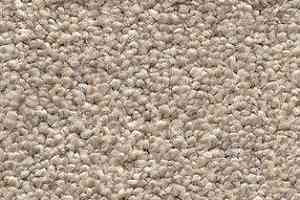 Ковролин AW Perseus 33 фото  | FLOORDEALER