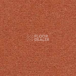 Ковролин Radici Montecarlo 59 фото 1 | FLOORDEALER