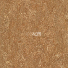 Линолеум Marmorette DLW 2.5mm 121-140 фото 1 | FLOORDEALER
