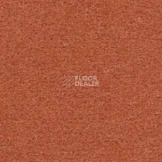 Ковролин Radici Montecarlo 59 фото 1 | FLOORDEALER