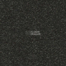 Ковровая плитка Forbo Sharepoint 1154 фото 1 | FLOORDEALER