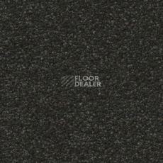 Ковровая плитка Forbo Sharepoint 1154 фото 1 | FLOORDEALER