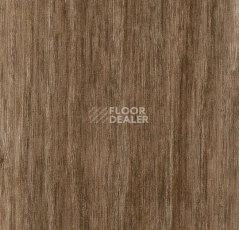 Кварцвиниловые полы Forbo Effekta Professional 0.8 мм 8115 P Планка фото 1 | FLOORDEALER
