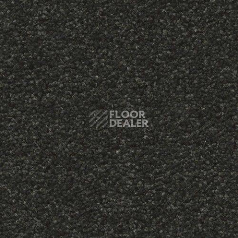 Ковровая плитка Forbo Sharepoint 1154 фото 1 | FLOORDEALER