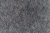 Flotex Colour Calgary 50*50 t590012 Calgary Cement фото 3 | FLOORDEALER