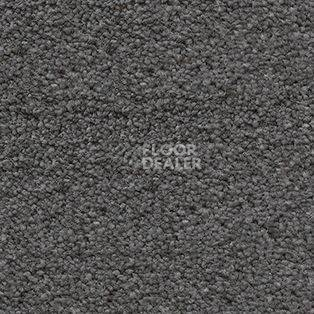 Ковролин AW Souplesse 95 фото 1 | FLOORDEALER