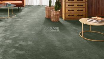 Vorwerk Exclusive 1060 Safira 4g68 фото 2 | FLOORDEALER