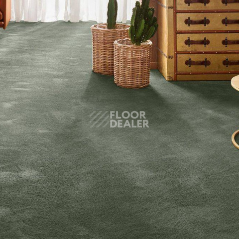 Vorwerk Exclusive 1060 Safira 4g68 фото 2 | FLOORDEALER