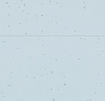 Forbo Sphera Energetic 50239 ice фото 2 | FLOORDEALER