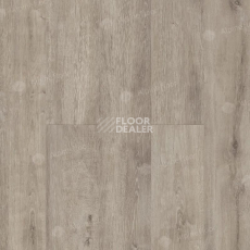 Ламинат Alpine Floor Legno Extra 8мм L1004 ДУБ ТАЙГА фото 1 | FLOORDEALER