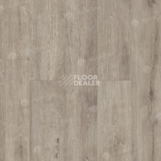 Ламинат Alpine Floor Legno Extra 8мм L1004 ДУБ ТАЙГА фото 1 | FLOORDEALER