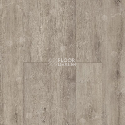 Ламинат Alpine Floor Legno Extra 8мм L1004 ДУБ ТАЙГА фото 1 | FLOORDEALER
