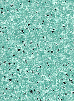 Линолеум Vertigo Barnett VBS3 16 фото 1 | FLOORDEALER