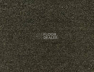 Ковролин Нева Тафт Астра 78 фото 1 | FLOORDEALER