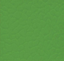 Линолеум Lg Rexcourt SPF6603 фото 1 | FLOORDEALER