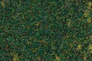 Ковролин Finett Vision Focus 605516 фото  | FLOORDEALER