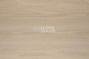 Кварцвиниловые полы Aquafloor Classic Glue GLUE AF5516 фото 1 | FLOORDEALER