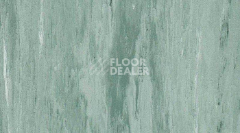 Линолеум Gerflor Mipolam Robust El7 0306 фото 1 | FLOORDEALER