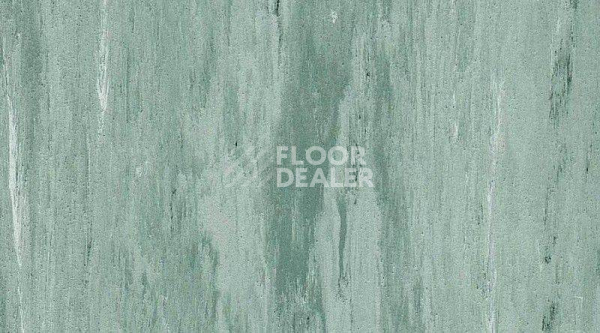 Линолеум Gerflor Mipolam Robust El7 0306 фото 1 | FLOORDEALER