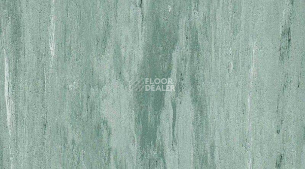 Линолеум Mipolam Robust El7 0306 фото 1 | FLOORDEALER