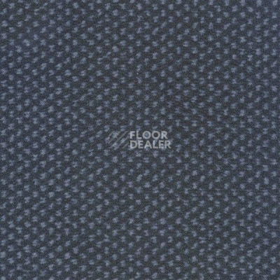 Ковролин Sintelon Podium 33613 фото 1 | FLOORDEALER
