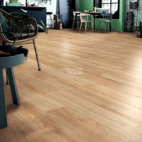 Kronotex Robusto 12мм d80892 Каштан Солсбери темный фото 4 | FLOORDEALER