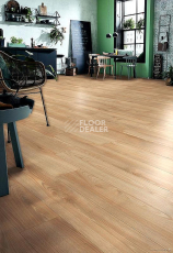 Kronotex Robusto 12мм d80892 Каштан Солсбери темный фото 4 | FLOORDEALER