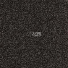 Ковролин AW Pearl 99 фото 1 | FLOORDEALER