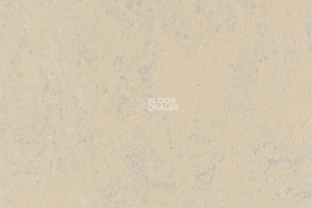 Линолеум Forbo Marmoleum Solid Concrete 3727-372735 drift фото 1 | FLOORDEALER