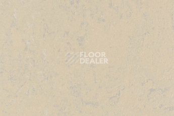 Линолеум Forbo Marmoleum Solid Concrete 3727-372735 drift фото 1 | FLOORDEALER