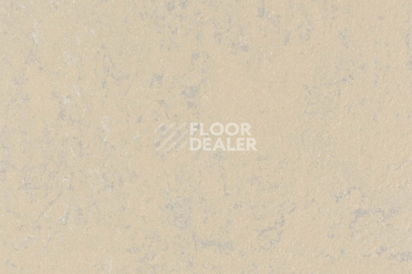 Линолеум Forbo Marmoleum Solid Concrete 3727-372735 drift фото 1 | FLOORDEALER