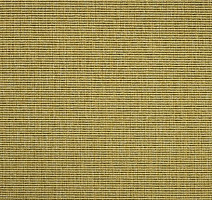 Ковролин Carpet Concept Eco 1 6621 фото 1 | FLOORDEALER