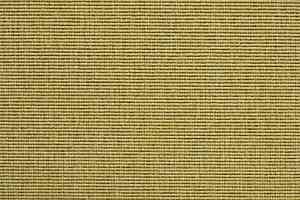 Ковролин Carpet Concept Eco 1 6621 фото  | FLOORDEALER