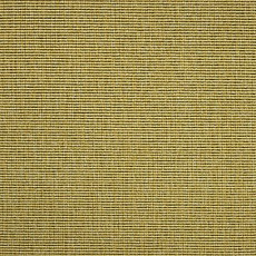 Ковролин Carpet Concept Eco 1 6621 фото 1 | FLOORDEALER