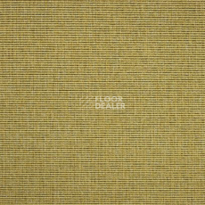 Ковролин Carpet Concept Eco 1 6621 фото 1 | FLOORDEALER