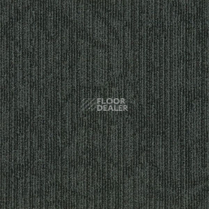 Ковровая плитка Interface Common Ground - Unify 338902 фото 1 | FLOORDEALER