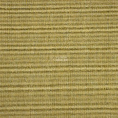 Carpet Concept Eco 1 6621 фото 1 | FLOORDEALER