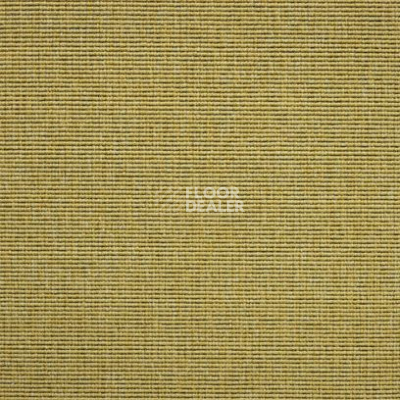 Ковролин Carpet Concept Eco 1 6621 фото 1 | FLOORDEALER