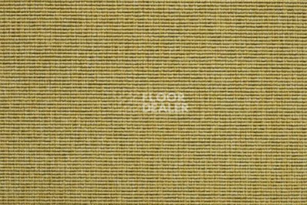 Ковролин Carpet Concept Eco 1 6621 фото 1 | FLOORDEALER